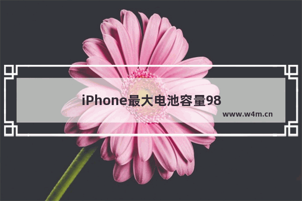 iPhone最大电池容量98