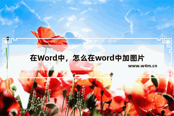 在Word中，怎么在word中加图片