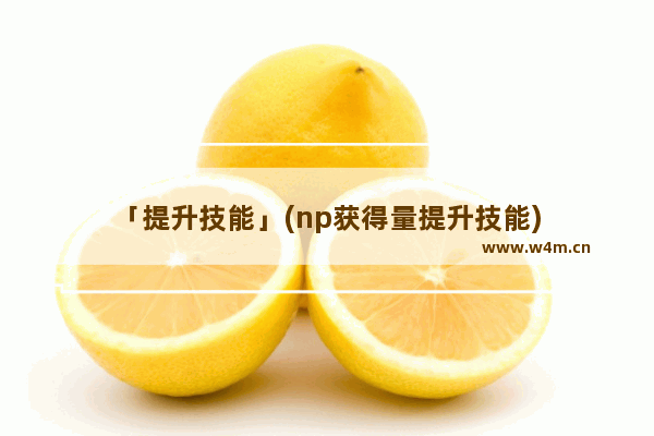 「提升技能」(np获得量提升技能)