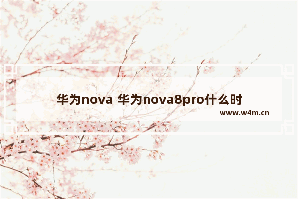 华为nova 华为nova8pro什么时候上市