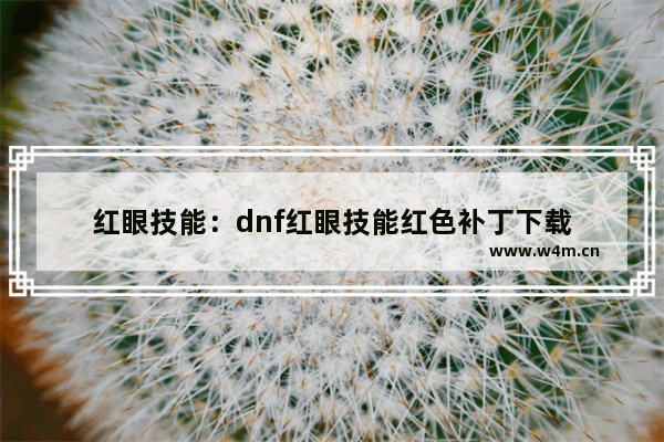 红眼技能：dnf红眼技能红色补丁下载