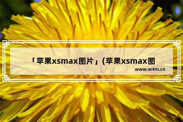 「苹果xsmax图片」(苹果xsmax图片怎么打马赛克)