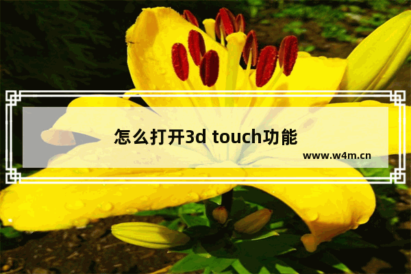 怎么打开3d touch功能