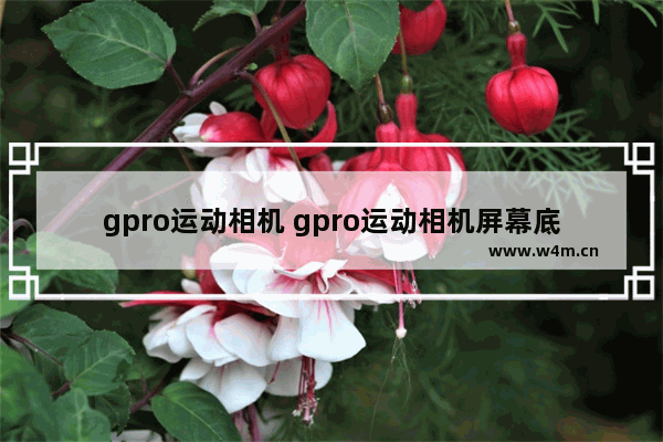 gpro运动相机 gpro运动相机屏幕底部出现黑边