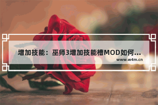 增加技能：巫师3增加技能槽MOD如何安装