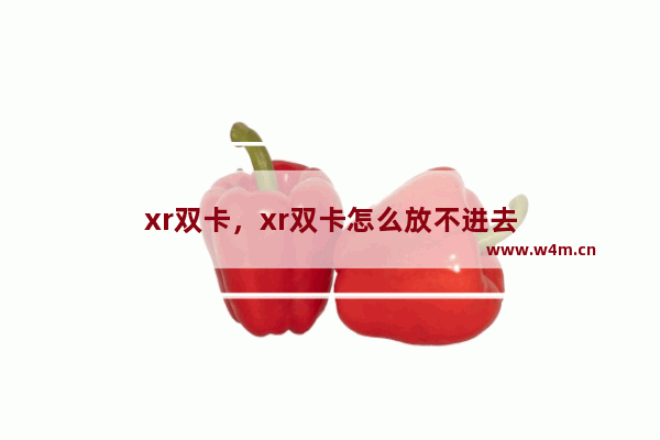 xr双卡，xr双卡怎么放不进去