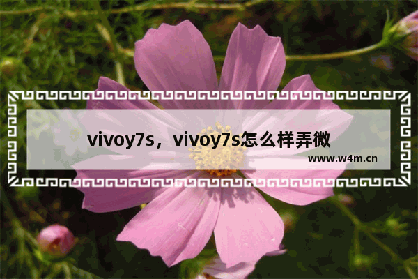 vivoy7s，vivoy7s怎么样弄微信美颜