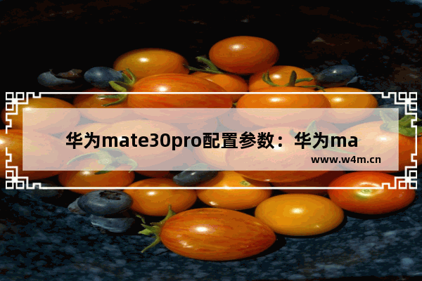 华为mate30pro配置参数：华为mate30pro配置参数表图片