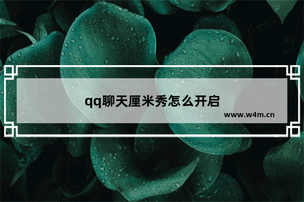 qq聊天厘米秀怎么开启