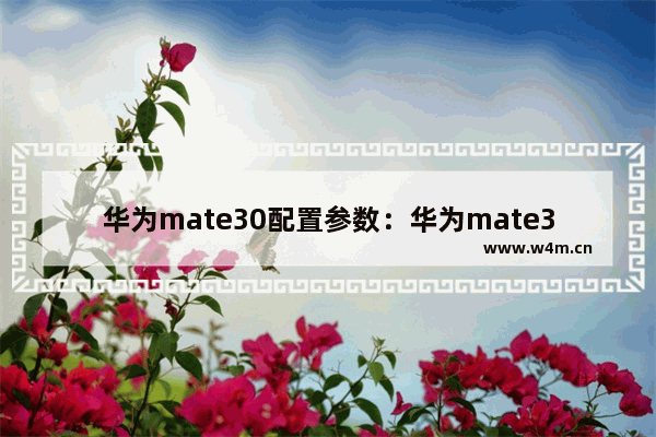 华为mate30配置参数：华为mate30配置参数表