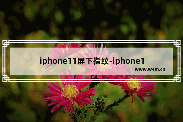 iphone11屏下指纹-iphone11屏下指纹解锁在哪