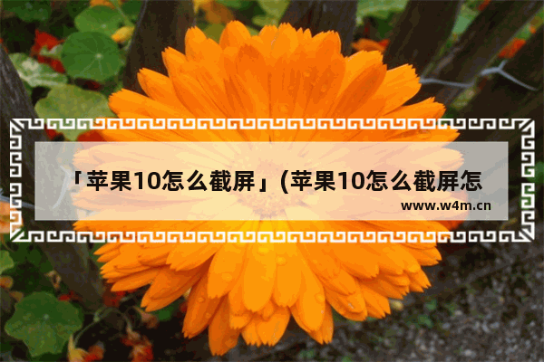 「苹果10怎么截屏」(苹果10怎么截屏怎么截长屏)