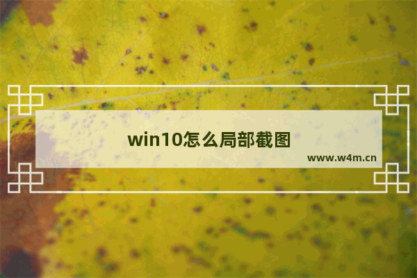 win10怎么局部截图