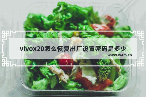 vivox20怎么恢复出厂设置密码是多少