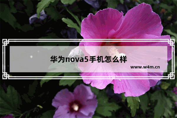 华为nova5手机怎么样