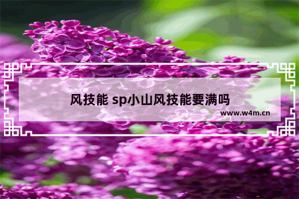 风技能 sp小山风技能要满吗