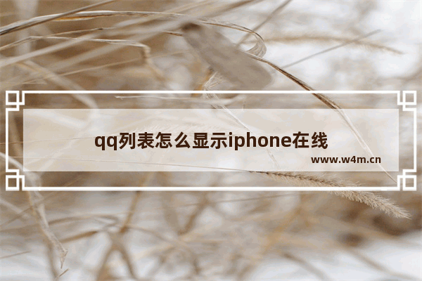 qq列表怎么显示iphone在线