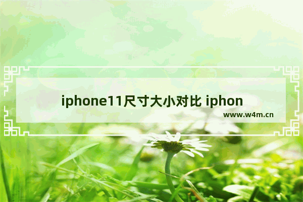 iphone11尺寸大小对比 iphone11尺寸大小对比图