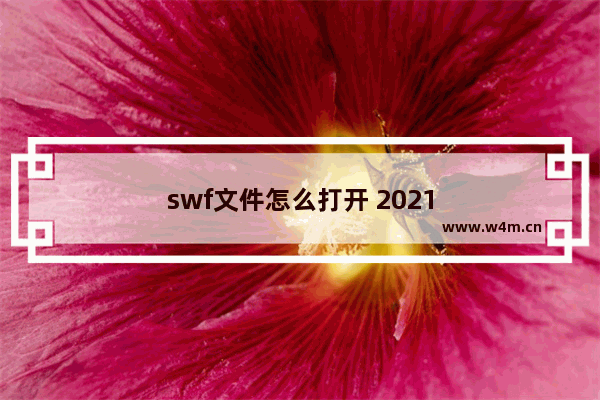 swf文件怎么打开 2021