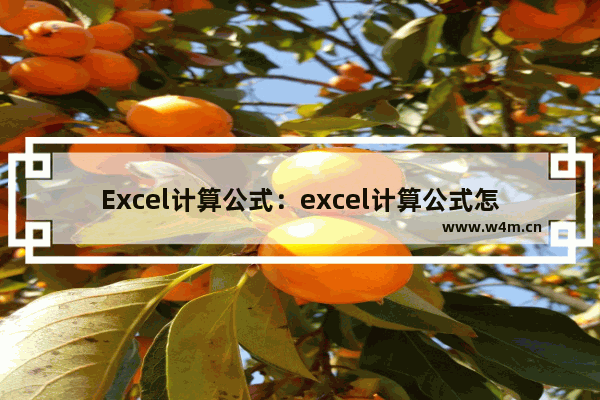 Excel计算公式：excel计算公式怎么输入乘法