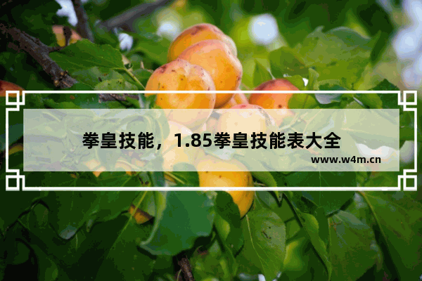 拳皇技能，1.85拳皇技能表大全