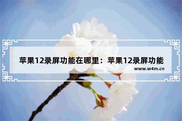 苹果12录屏功能在哪里：苹果12录屏功能在哪里打开