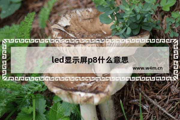 led显示屏p8什么意思