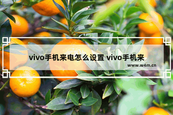 vivo手机来电怎么设置 vivo手机来电怎么设置不显示具体号码