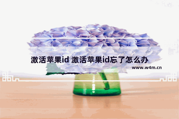 激活苹果id 激活苹果id忘了怎么办