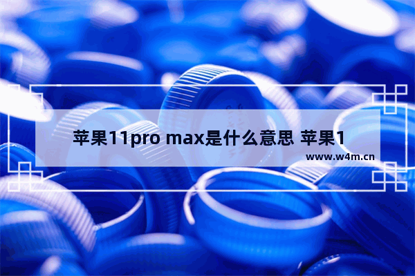 苹果11pro max是什么意思 苹果11pro max是什么意思?