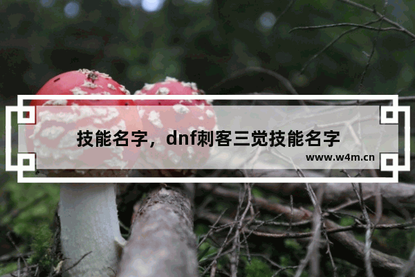 技能名字，dnf刺客三觉技能名字