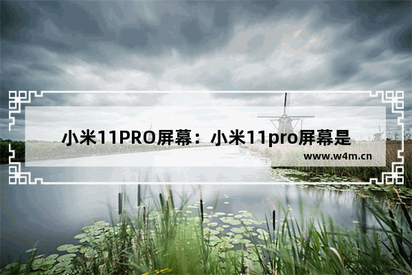 小米11PRO屏幕：小米11pro屏幕是2k屏吗