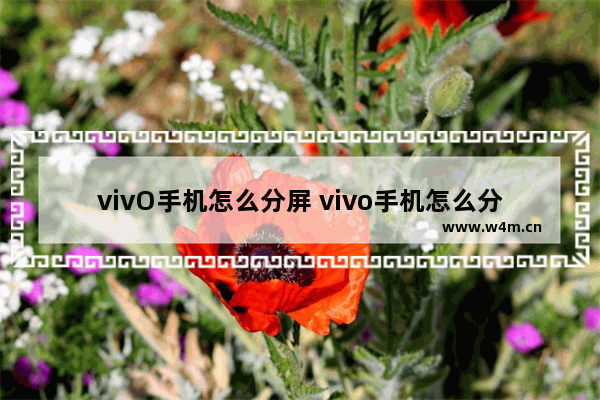 vivO手机怎么分屏 vivo手机怎么分屏玩光遇