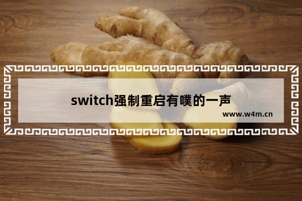 switch强制重启有噗的一声