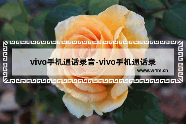 vivo手机通话录音-vivo手机通话录音删除了还能找回来吗?