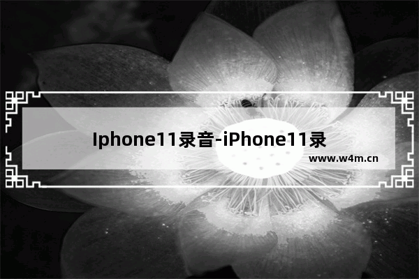 Iphone11录音-iPhone11录音用不了