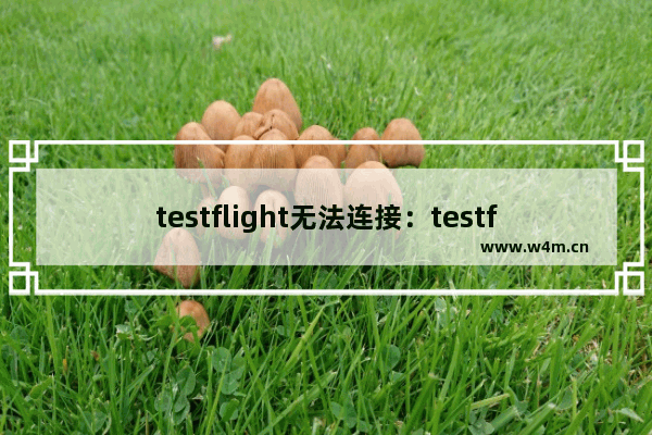 testflight无法连接：testflight无法连接connect