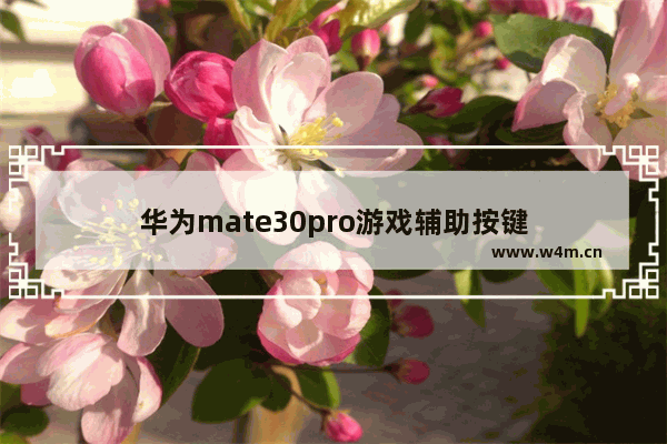 华为mate30pro游戏辅助按键