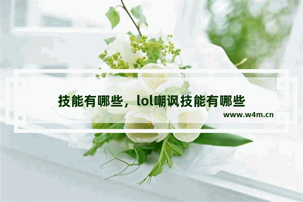 技能有哪些，lol嘲讽技能有哪些