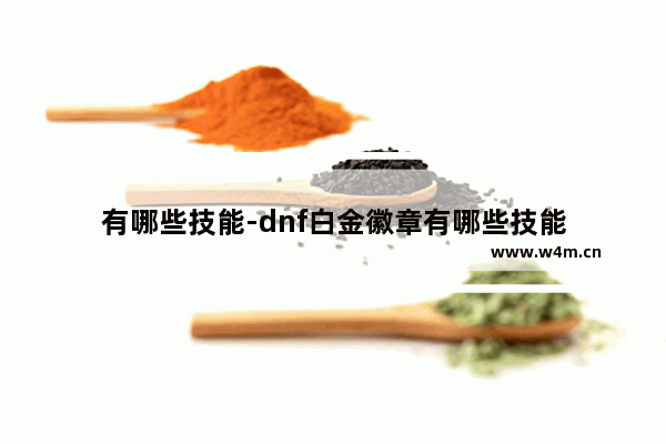 有哪些技能-dnf白金徽章有哪些技能