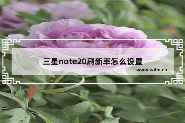 三星note20刷新率怎么设置