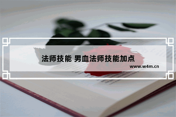 法师技能 男血法师技能加点