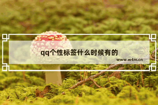 qq个性标签什么时候有的