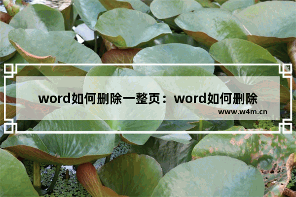 word如何删除一整页：word如何删除一整页包括内容