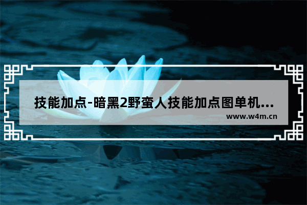 技能加点-暗黑2野蛮人技能加点图单机游戏暗黑破坏神2圣骑士攻略