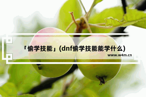 「偷学技能」(dnf偷学技能能学什么)