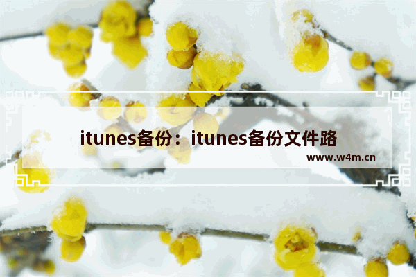 itunes备份：itunes备份文件路径更改器