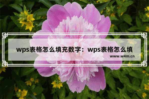 wps表格怎么填充数字：wps表格怎么填充数字1到100