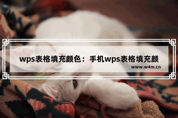 wps表格填充颜色：手机wps表格填充颜色怎么弄