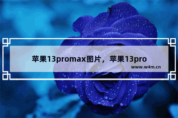 苹果13promax图片，苹果13promax图片远峰蓝壁纸